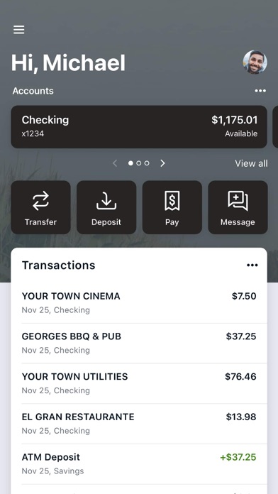 myfarmersnationalbank Screenshot