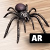 Icon AR Spiders & Co: Scare friends
