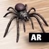 AR Spiders & Co: Scare friends