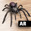 AR Spiders & Co: Scare friends - Linda Schnetzinger