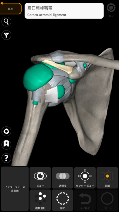 解剖学 - 3Dアトラスのおすすめ画像5