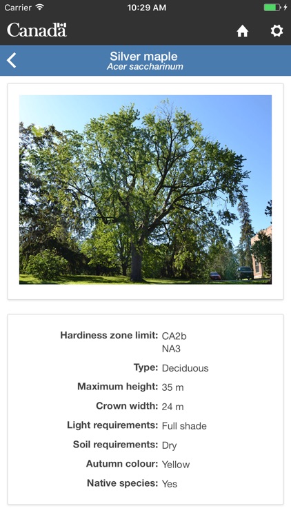 My Tree screenshot-3