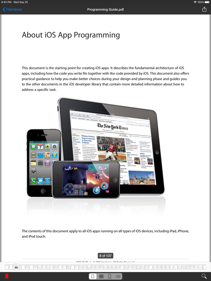 FileViewer XL for iPad