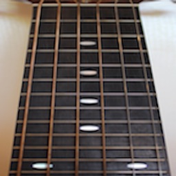 Guitar Fretboard Addict Lite