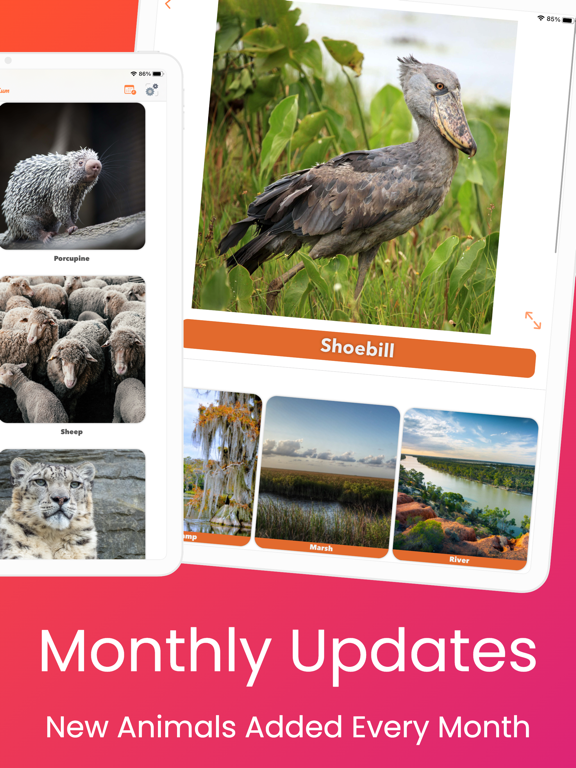 YipYap - Animal Discovery iPad screenshot 2 - Entertainment app