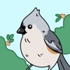 Feather Friends icon