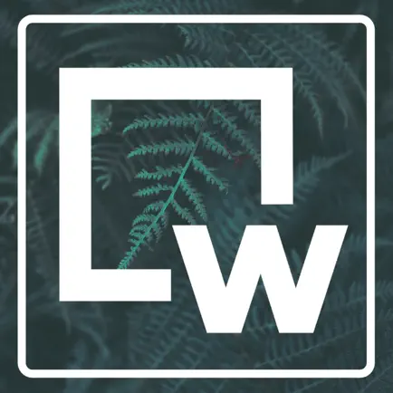 Woodland Church Читы