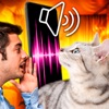 Cat Translator - speak, enjoy icon