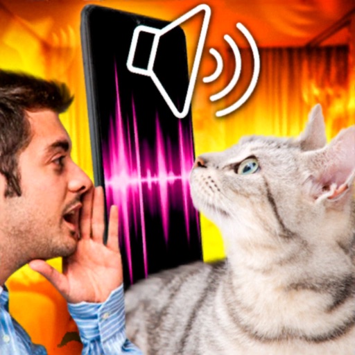 Cat Translator - speak, enjoy