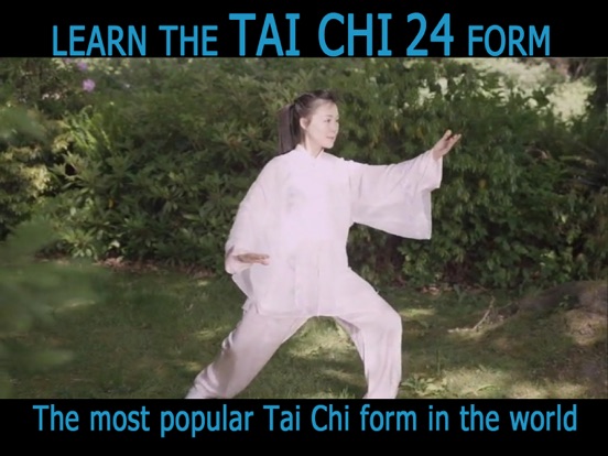 Tai Chi for Beginners 24 Formのおすすめ画像2