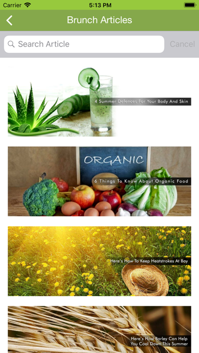 Vedique Diet iPhone screenshot 5 - Health & Fitness app