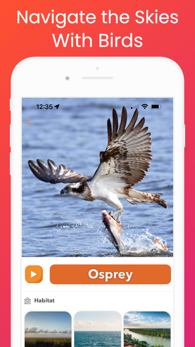 YipYap - Animal Discovery Screenshot
