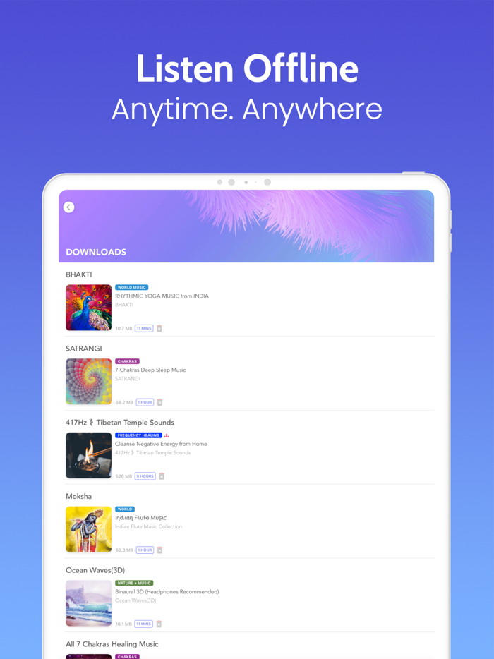 Meditative Mind Sleep Sounds