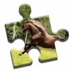 Majestic Horses Puzzle icon