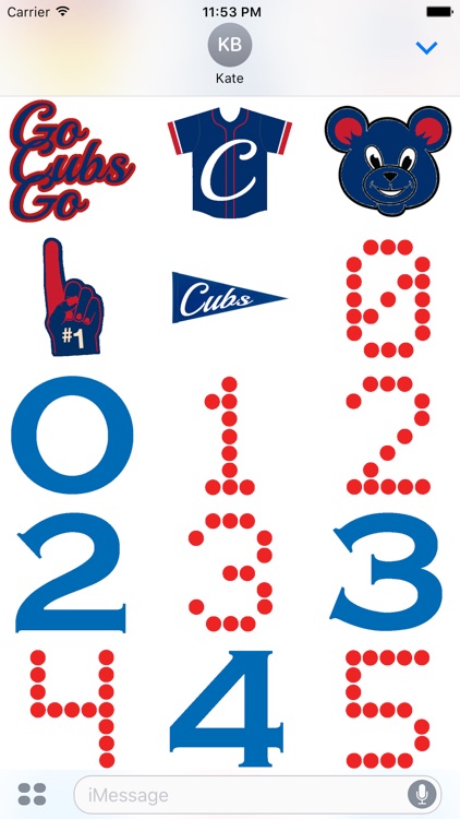 Baseball Pack Cubs Experience