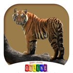 Download Baby Learn Zoology app