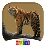 Baby Learn Zoology App Positive Reviews