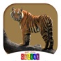 Baby Learn Zoology app download