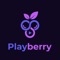 With Playberry, you can add all of your favorite m3u playlists using our sleek-designed powerful built-in player