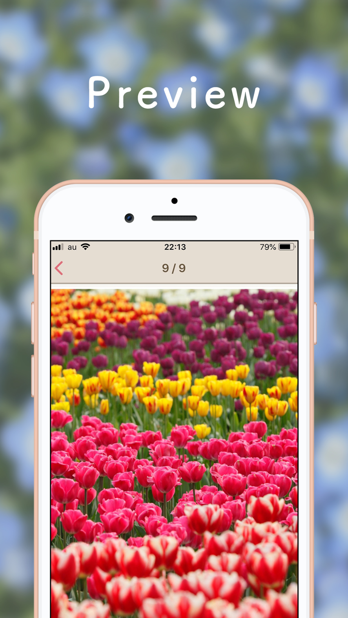 Myアルバム - 可愛い写真整理アルバム
