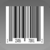 Icon Barcode Lite - to Web Scanner