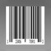 Barcode Lite - to Web Scanner