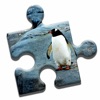 Penguin Love Puzzle icon