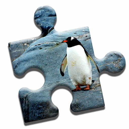 Penguin Love Puzzle icon