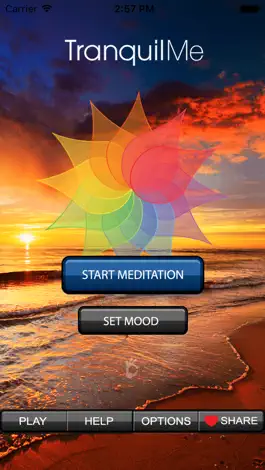 Game screenshot Tranquil Me meditation apk