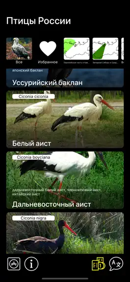 Game screenshot Птицы России mod apk