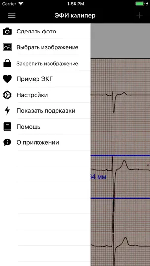 Скриншот ЭФИ калипер на iPhone 5