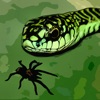 Tarantula vs Snake - iPhoneアプリ