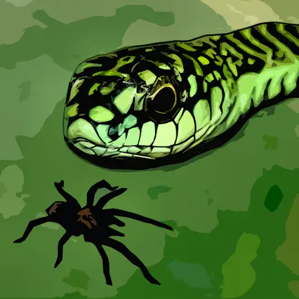 Tarantula vs Snake Cheats