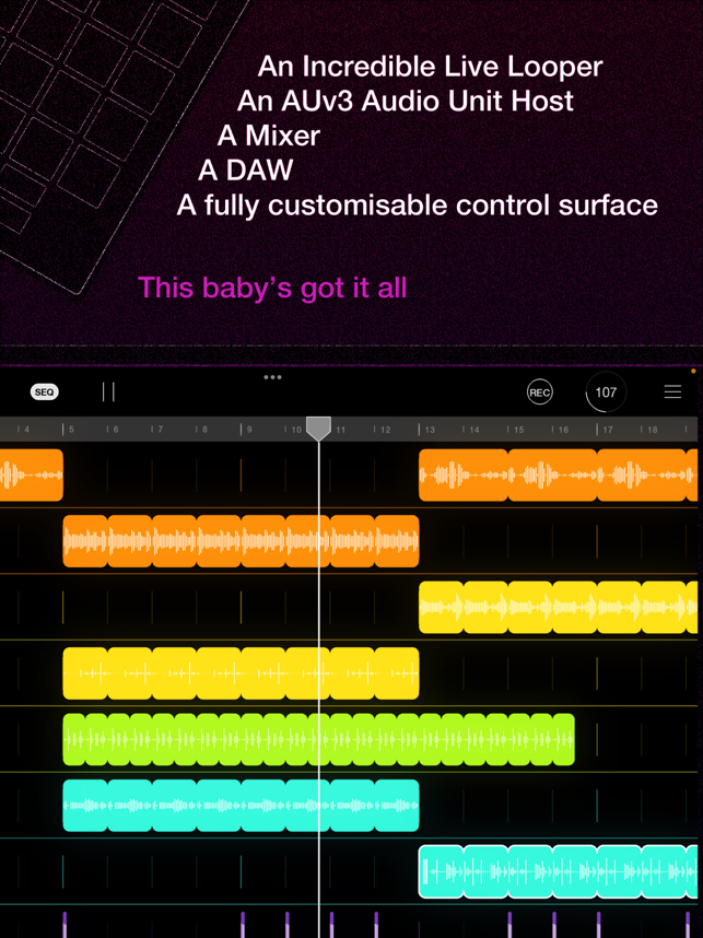 ‎Loopy Pro: Looper DAW Sampler Screenshot