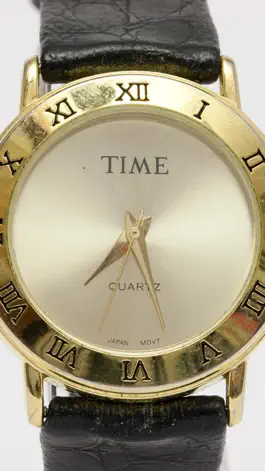 Game screenshot Museum of Broken Watches hack