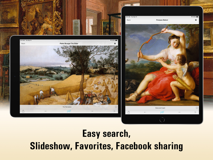 Metropolitan Museum HD