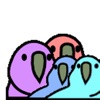 Party Parrots HD icon