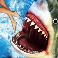 Shark Attack  Fun Fish Games