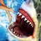 Shark Attack : Fun Fish Games