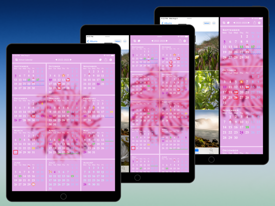 All-in-One Year Calendar Pro iPad screenshot 5 - Productivity app