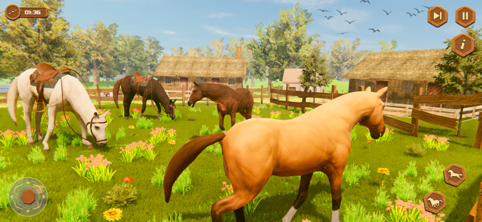 My Wild Horse Riding Stories