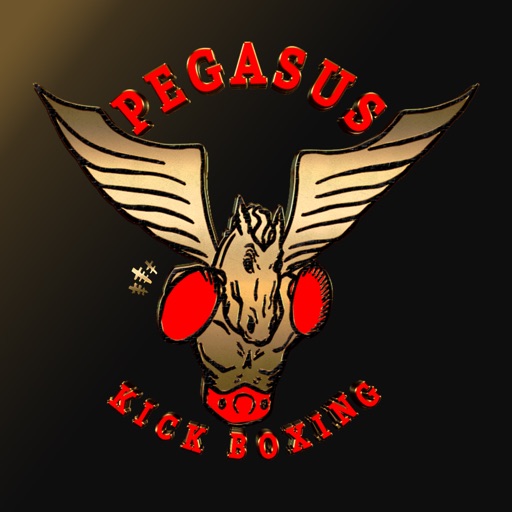 Pegasus Studio icon