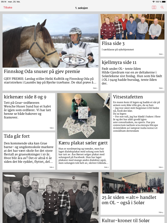 Screenshot #6 pour Solungavisa eAvis