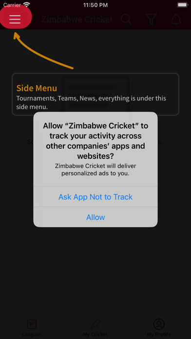 Zimbabwe Cricket Screenshot