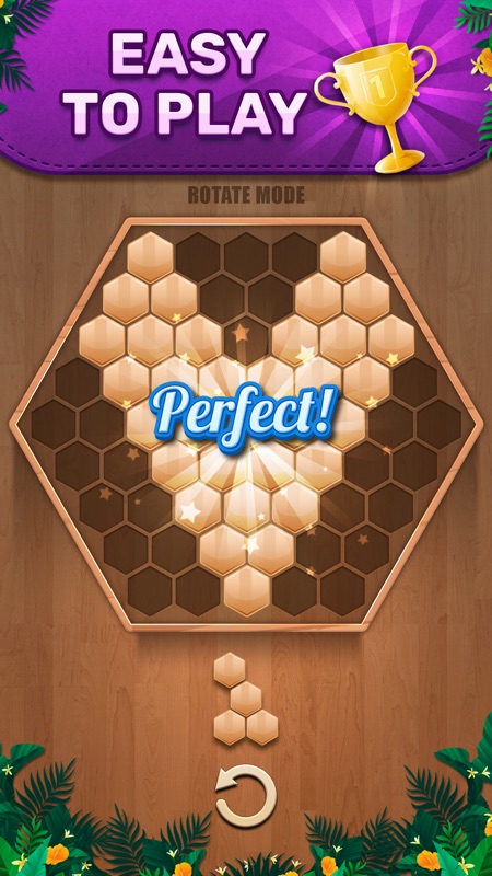 Wooden 100 Block Puzzle Game screenshot 8