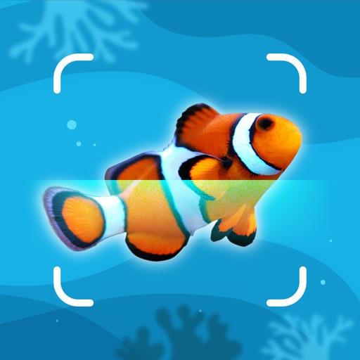 Fish Identifier - Fishing