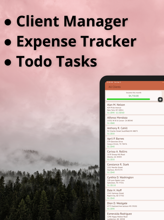 Business Manager Gig-Services