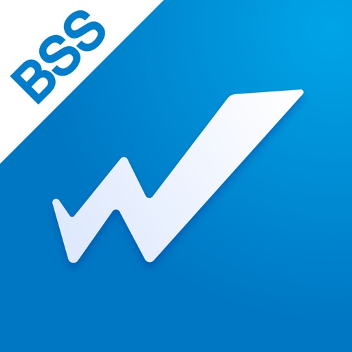 秒账BSSlogo