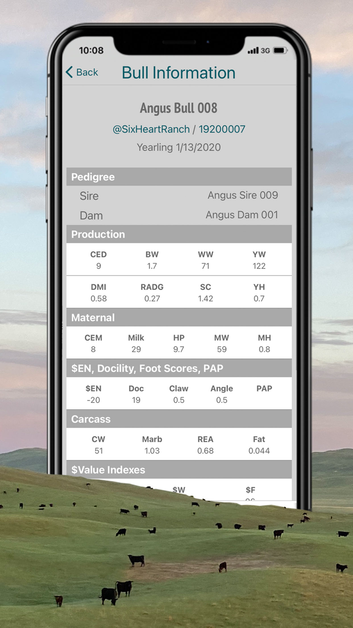 BullPEN A Beef Cattle App