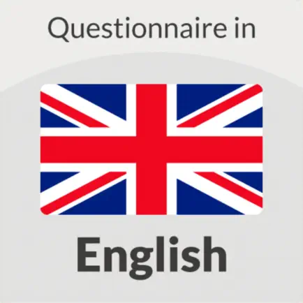 English Questionnaire Cheats